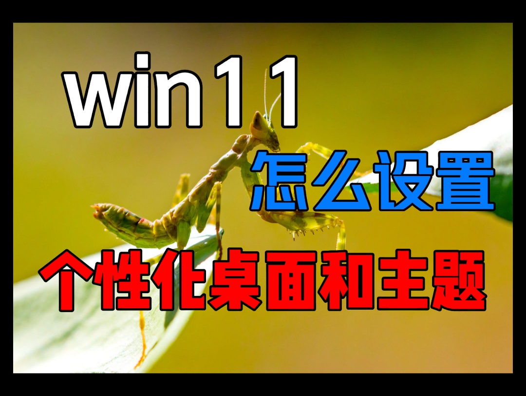 Win11怎么设置个性化桌面和主题哔哩哔哩bilibili