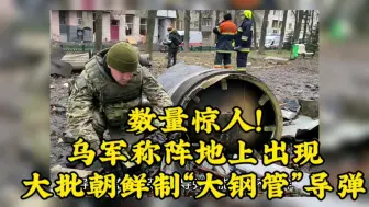 Video herunterladen: 数量惊人！乌军称阵地上出现，大批朝鲜制“大钢管”导弹