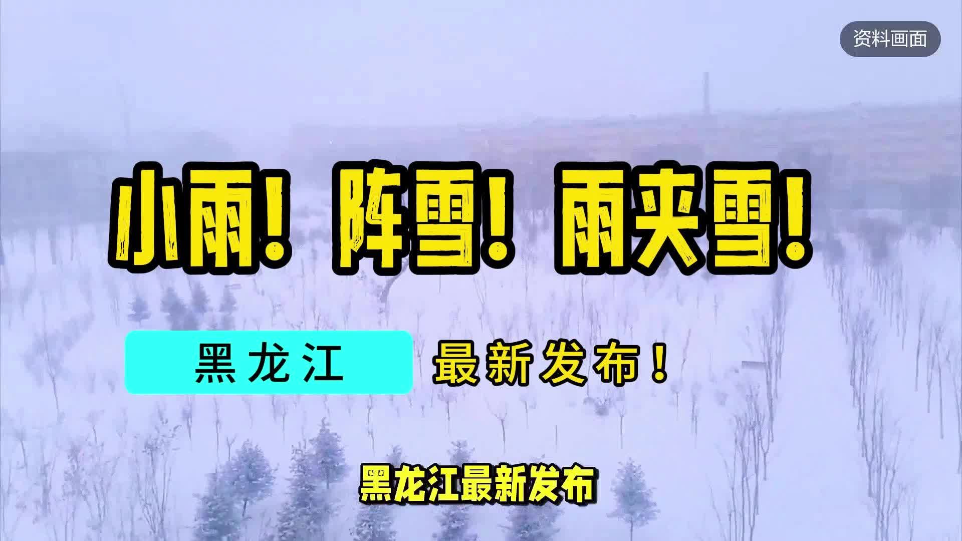 小雨!阵雪!雨夹雪!黑龙江最新发布哔哩哔哩bilibili