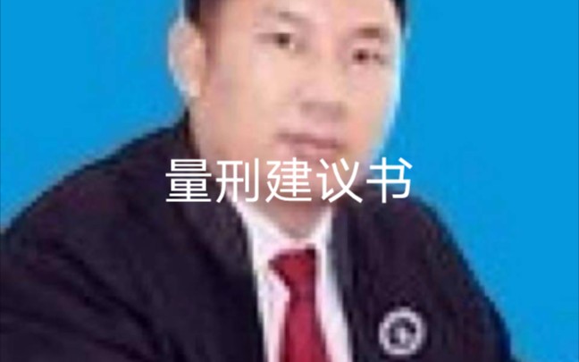 量刑建议书哔哩哔哩bilibili