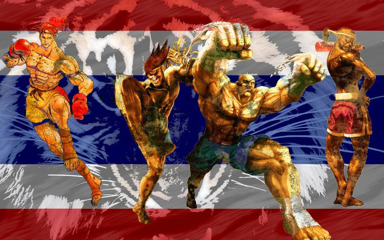 【泰拳带佬们的重拳ko】_哔哩哔哩 (゜-゜)つロ 干杯~-bilibili