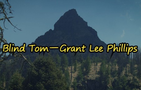 [图]每个人的心中可能都住着一个《Blind Tom》—Grant Lee Phillips