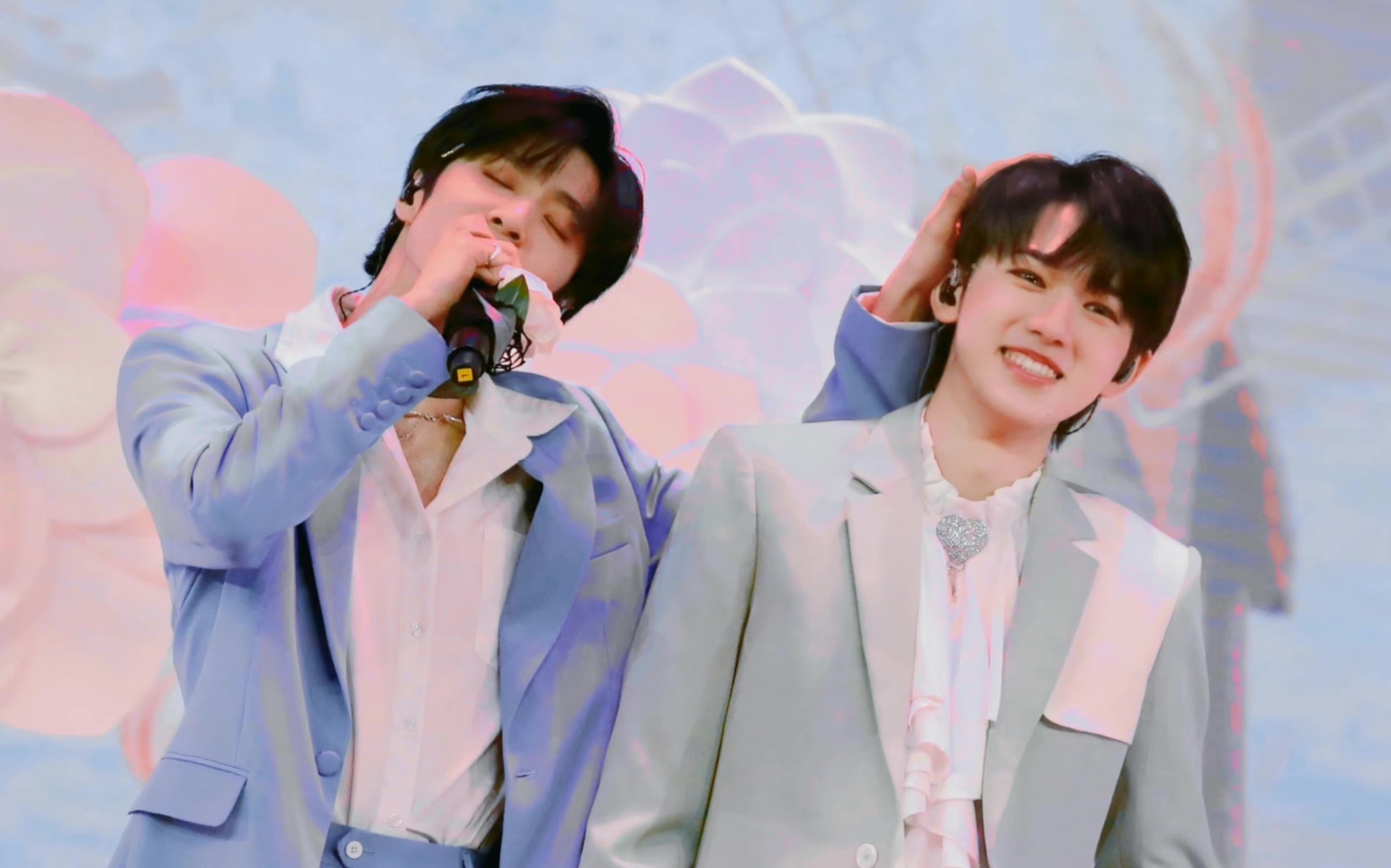 【文轩】爱有具体说明,是白山茶,亦是白玫瑰