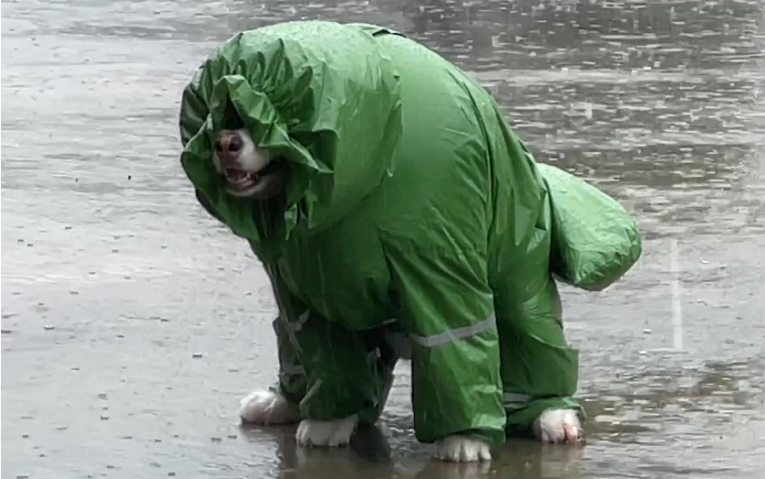 大雨还在下,你的心里怕不怕