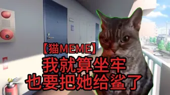 下载视频: 【猫meme】叫保洁阿姨大扫除差点被谋杀的故事