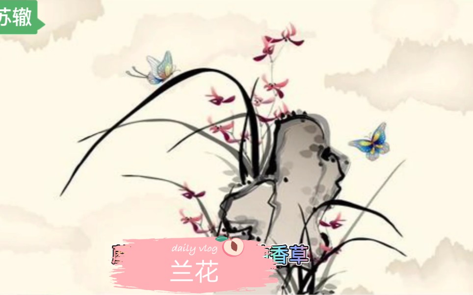 种兰宋 苏辙 兰生幽谷无人识,客种东轩遗我香.哔哩哔哩bilibili