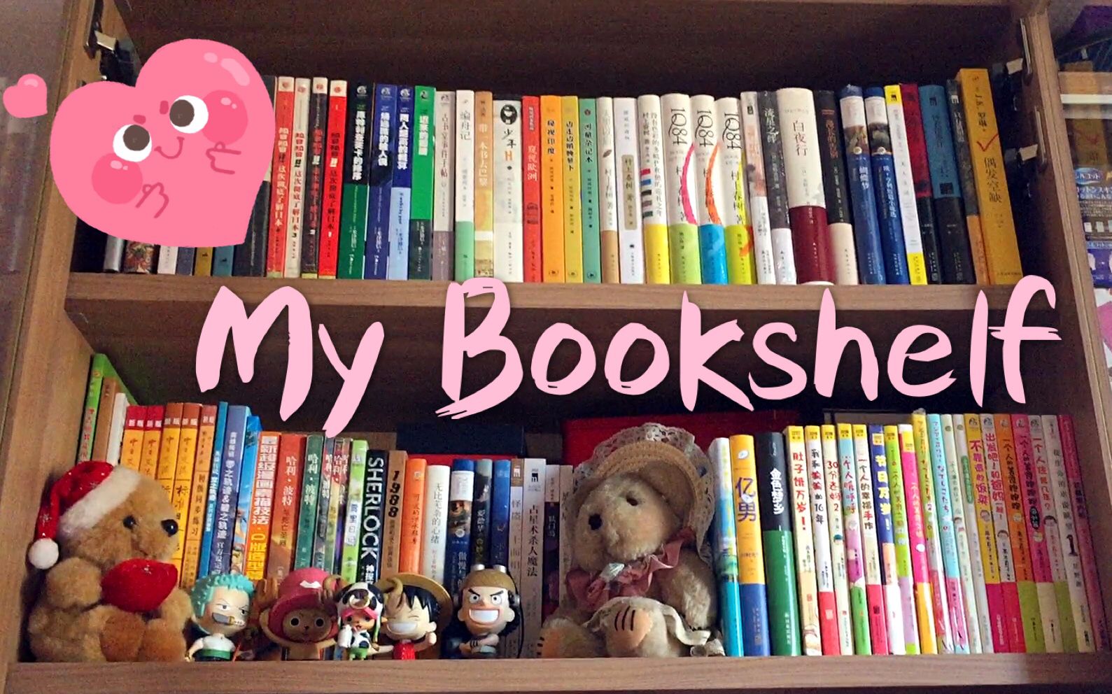 【My Bookshelf】我的书架上都有哪些书~哔哩哔哩bilibili