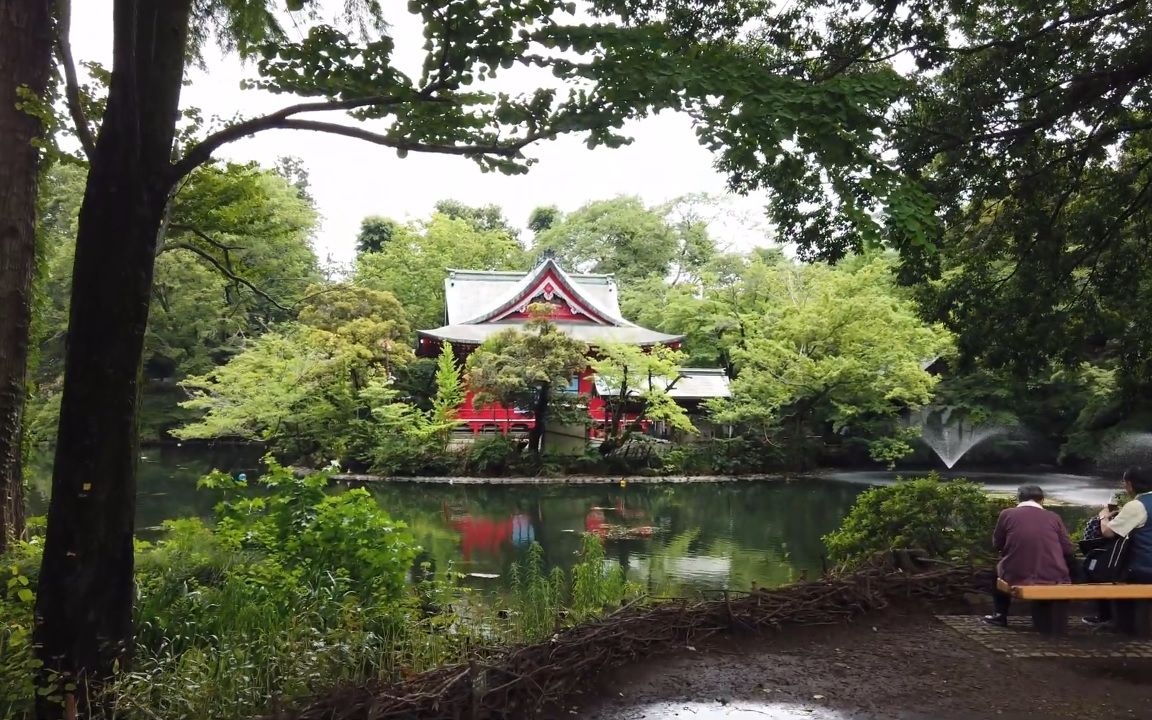 超清日本漫步东京武藏野市井之头恩赐公园英文解说20206