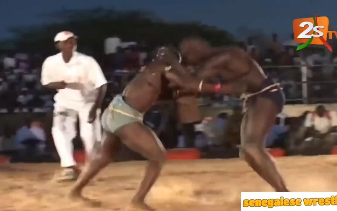 Senegalese Wrestling Highlights哔哩哔哩bilibili