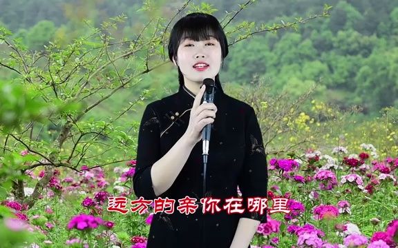 [图]情歌：《爱你爱上你》《一颗真心送给你》歌词暖心，送给有情人