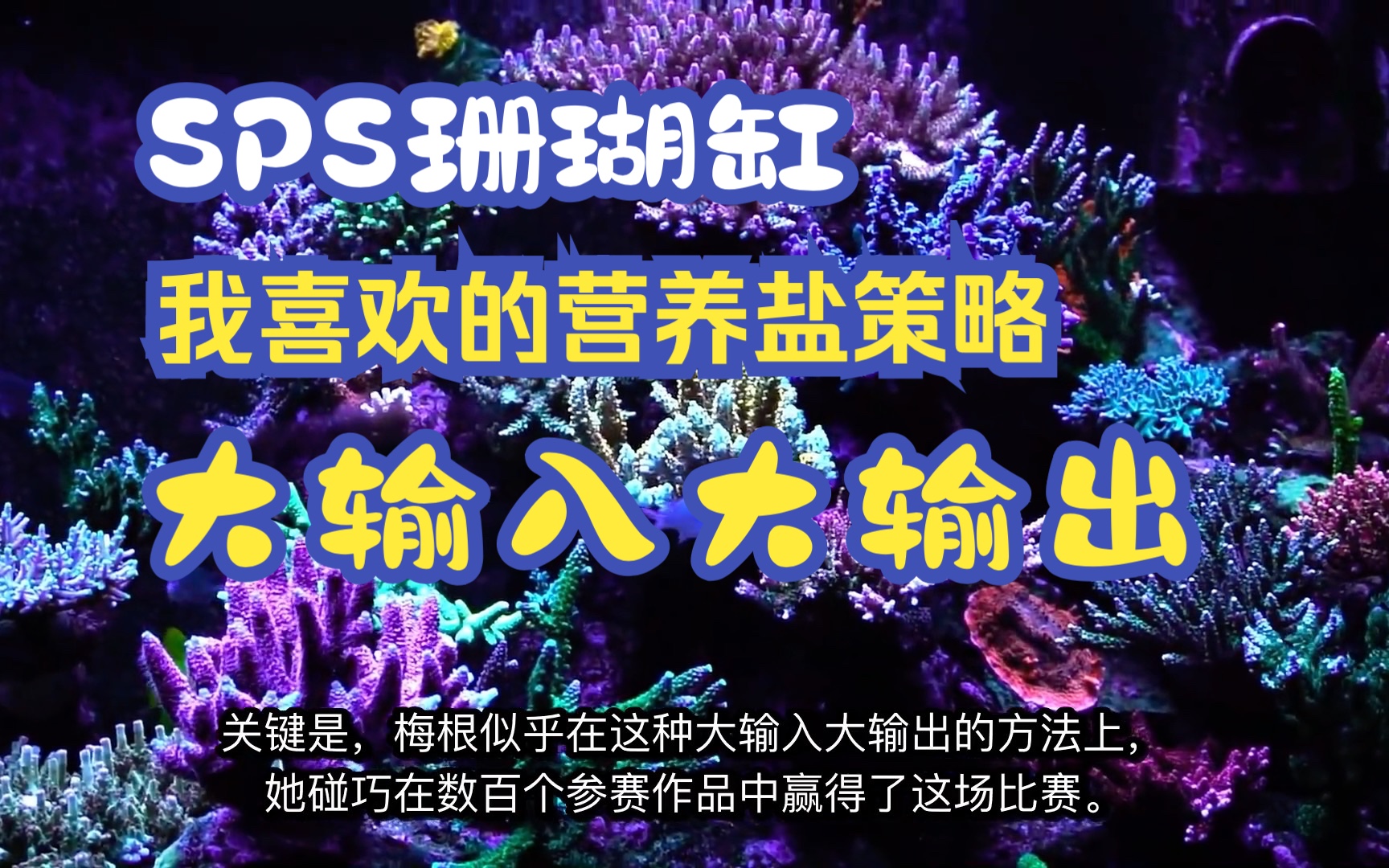 SPS珊瑚缸的营养盐策略Nutrient Concepts in the SPS Reef Tank哔哩哔哩bilibili