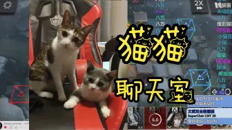 Download Video: 【龙哥/切片】以防你没有听过小猫聊天