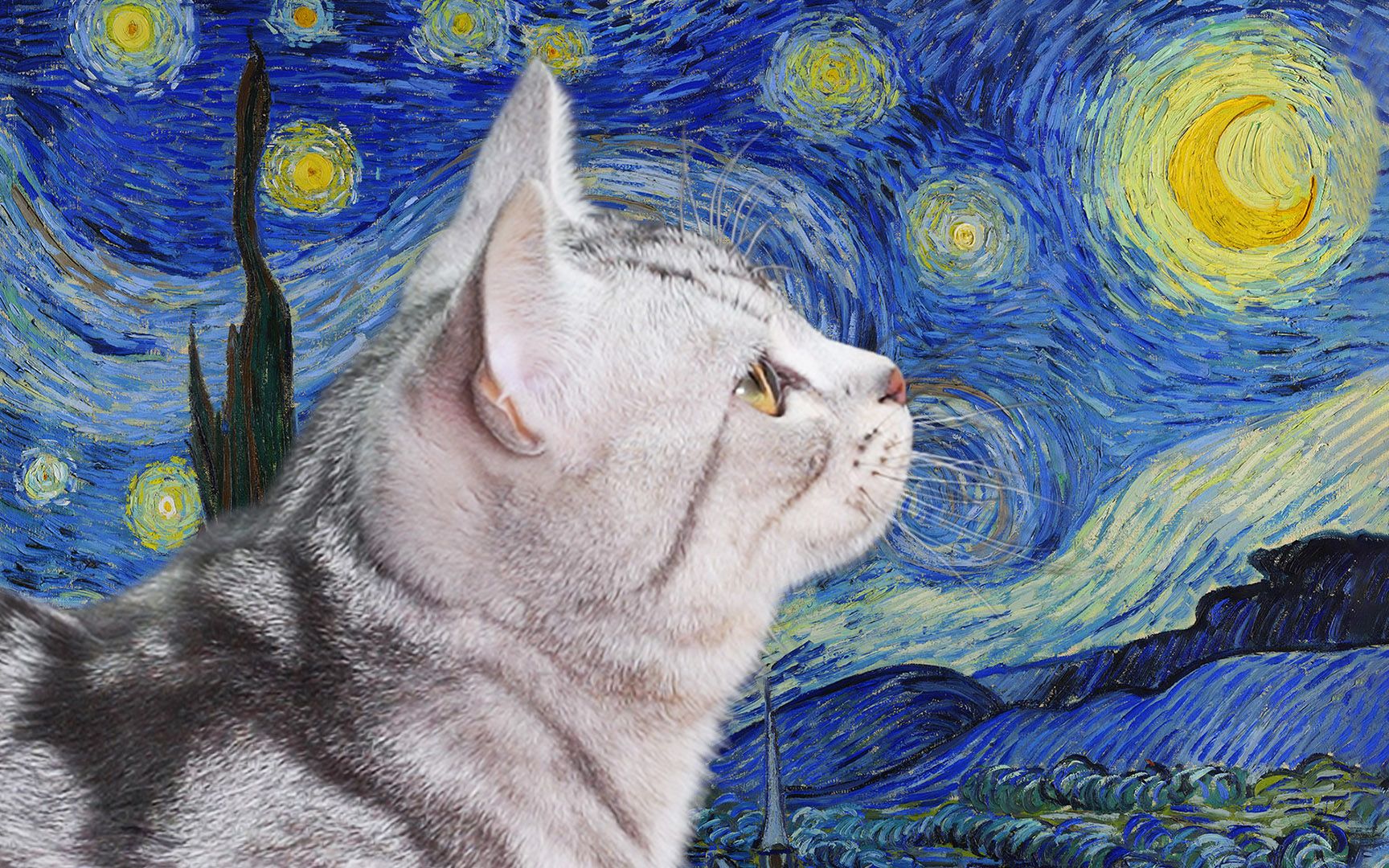 活动作品梵高但是只猫