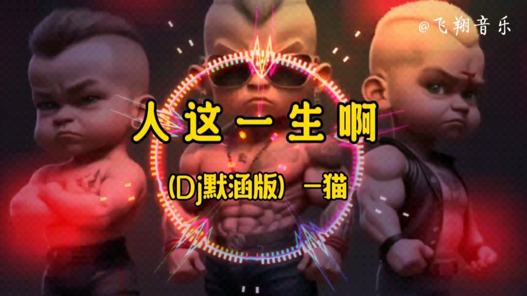 [图]【无损音质】 Dj 版《人这一生啊》谁没有哭过，谁没有笑过，起起又落落，经历过坎坷，句句戳心。