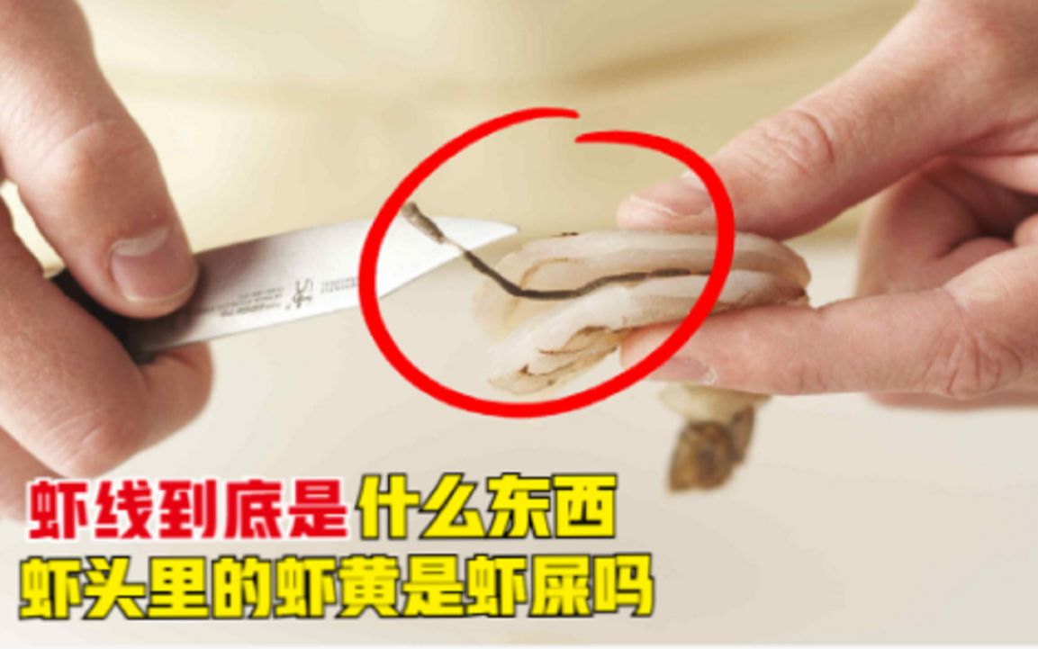 虾线到底是什么东西?虾头里的“虾黄”是虾屎吗?人能不能吃呢?哔哩哔哩bilibili