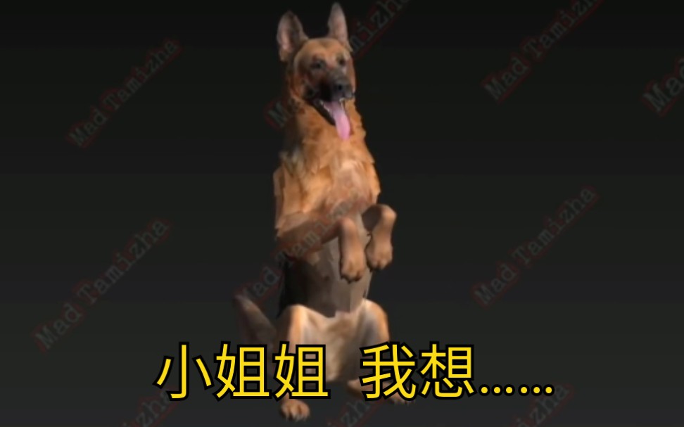 S12新载具 冲浪板 新宠物动作展示 新背景音乐丨PUBG MOBILE 刺激战场国际服哔哩哔哩bilibili