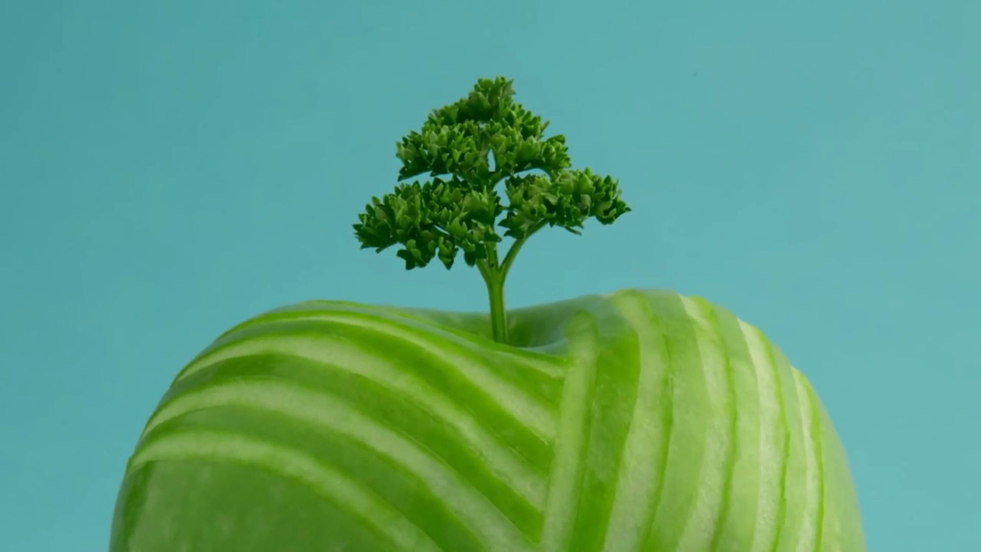 引起舒适，水果和蔬菜的奇妙定格动画舞会！