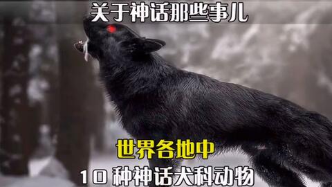 神话动物 狗真的是人类的朋友吗 神话里的犬科动物都是什么样子的 哔哩哔哩 神话动物 狗真的是人类的朋友吗 神话里的犬科动物都是什么样子的 哔哩哔哩