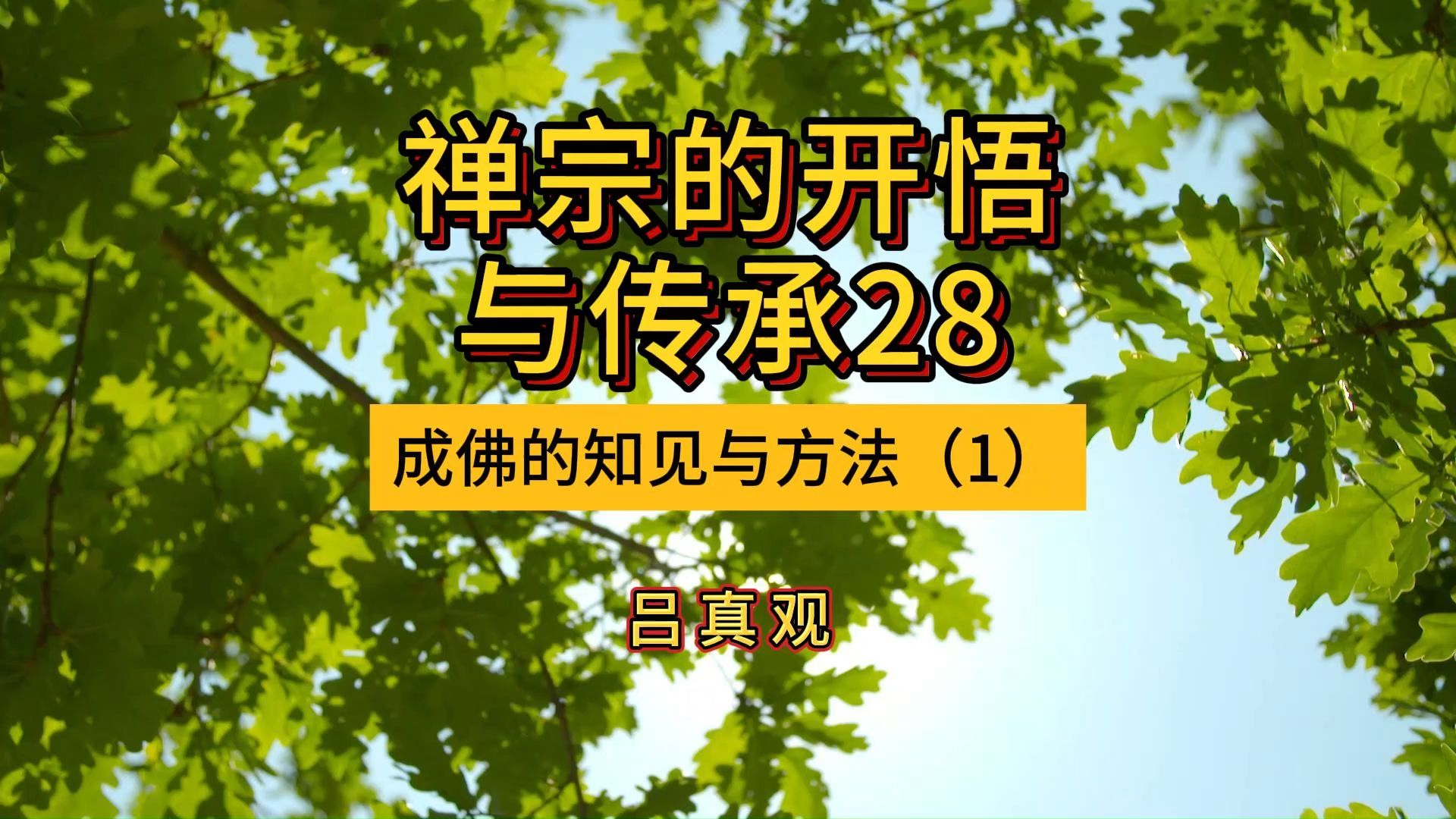 [图]禅宗的开悟与传承28--成佛的知见与方法（1）