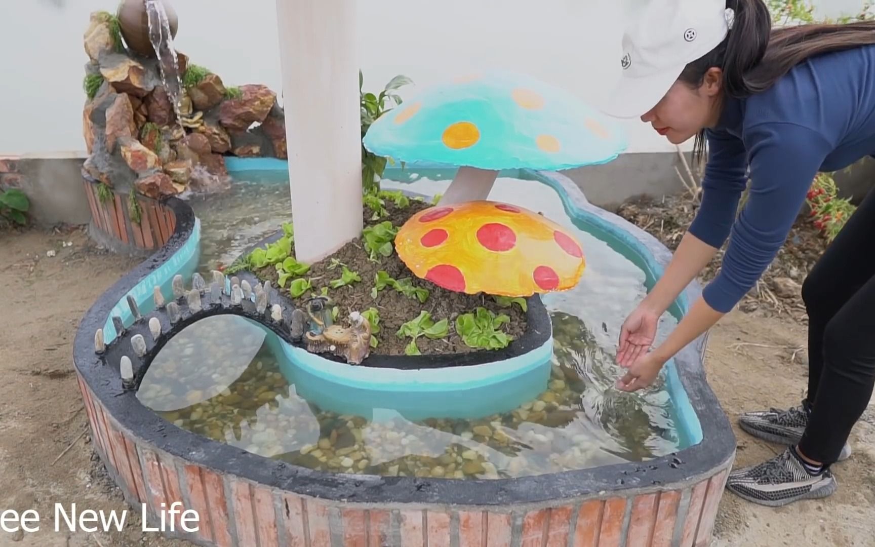 自由生活在花园里的蘑菇装饰下建造水族馆哔哩哔哩bilibili