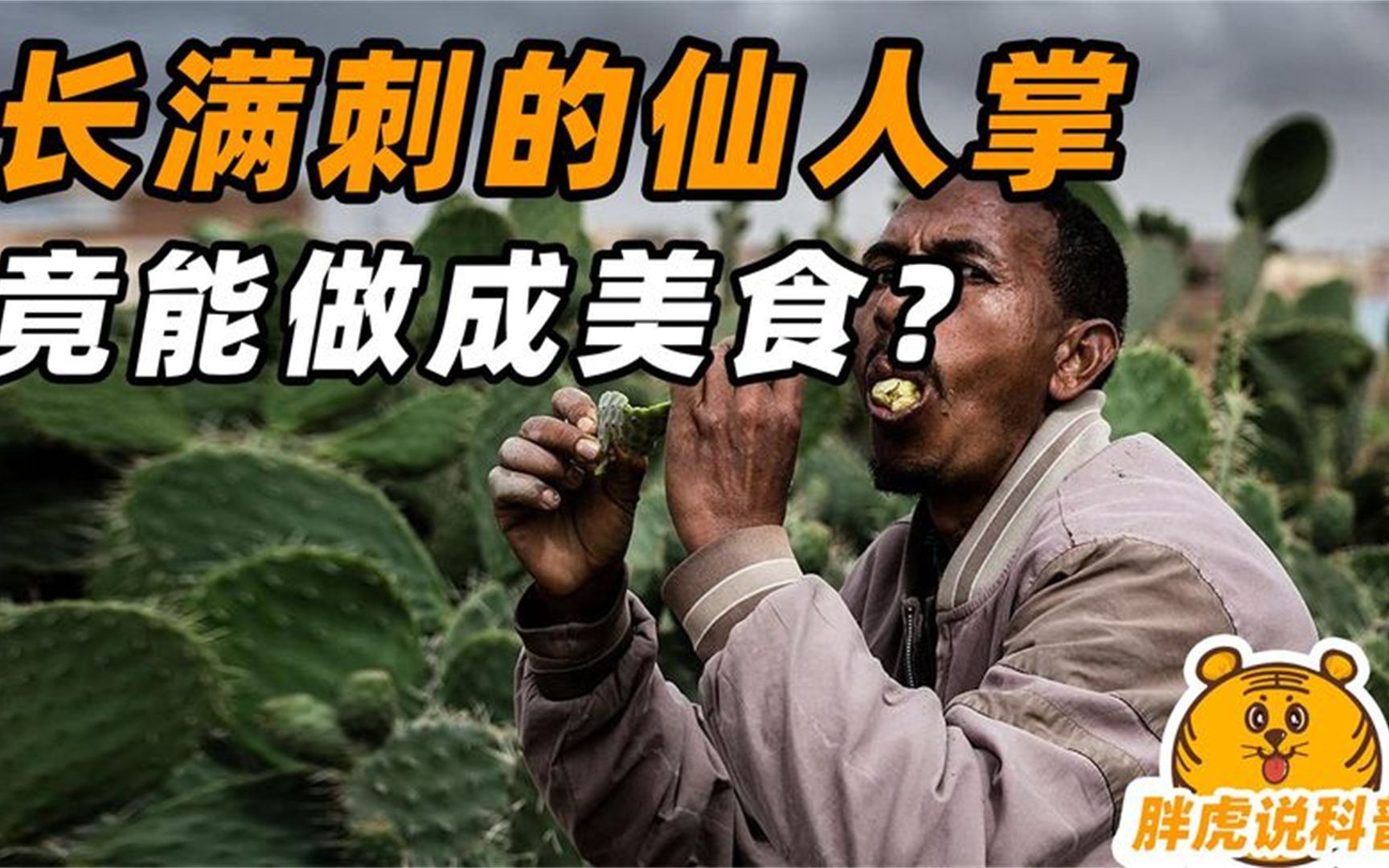 长满刺的仙人掌,竟然能做成美食?揭秘仙人掌的种植过程哔哩哔哩bilibili