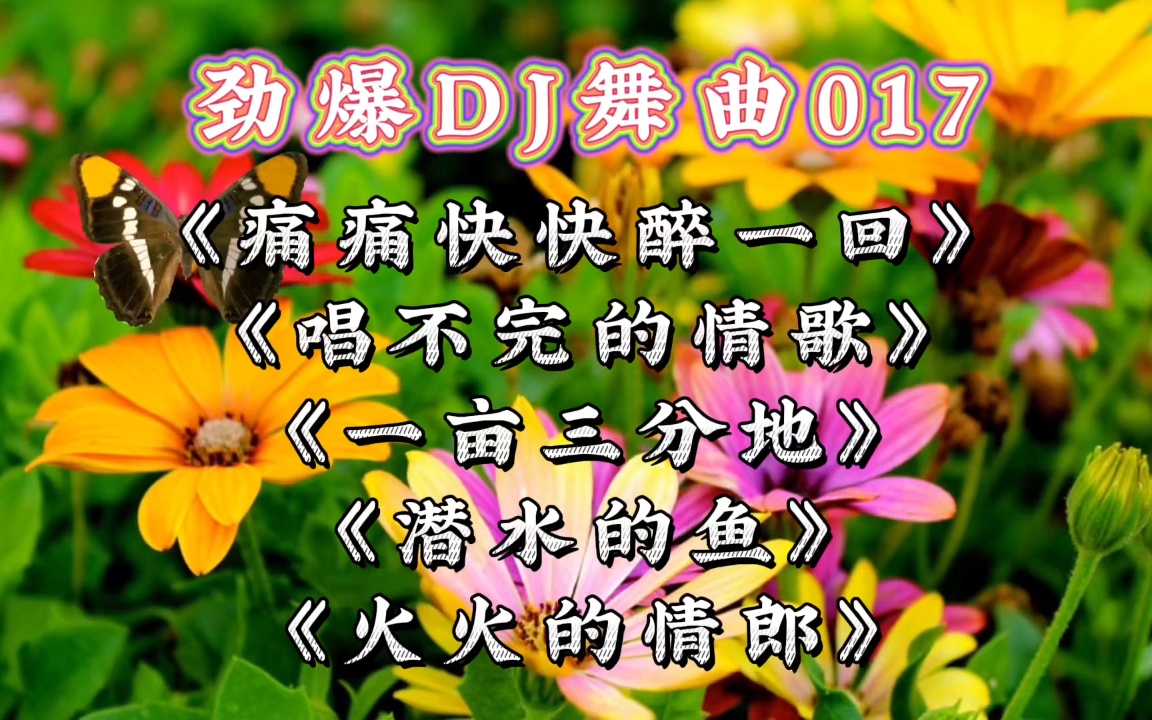 劲爆dj舞曲017《痛痛快快醉一回》《唱不完的情歌》