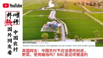 Скачать видео: 国外网友看中国农村。韩国：看过卫星图，发现中国90%的地方都是一片漆黑，他们农村没有通电