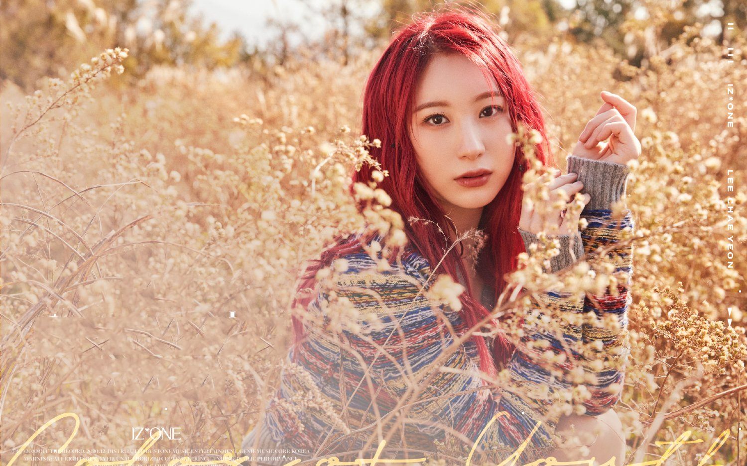 [中韓歌詞] lee chaeyeon (李彩演) – danny