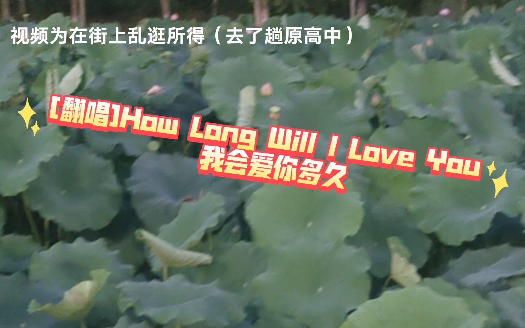 [图][翻唱求爱神曲]How Long Will I Love You “我会爱你多久”