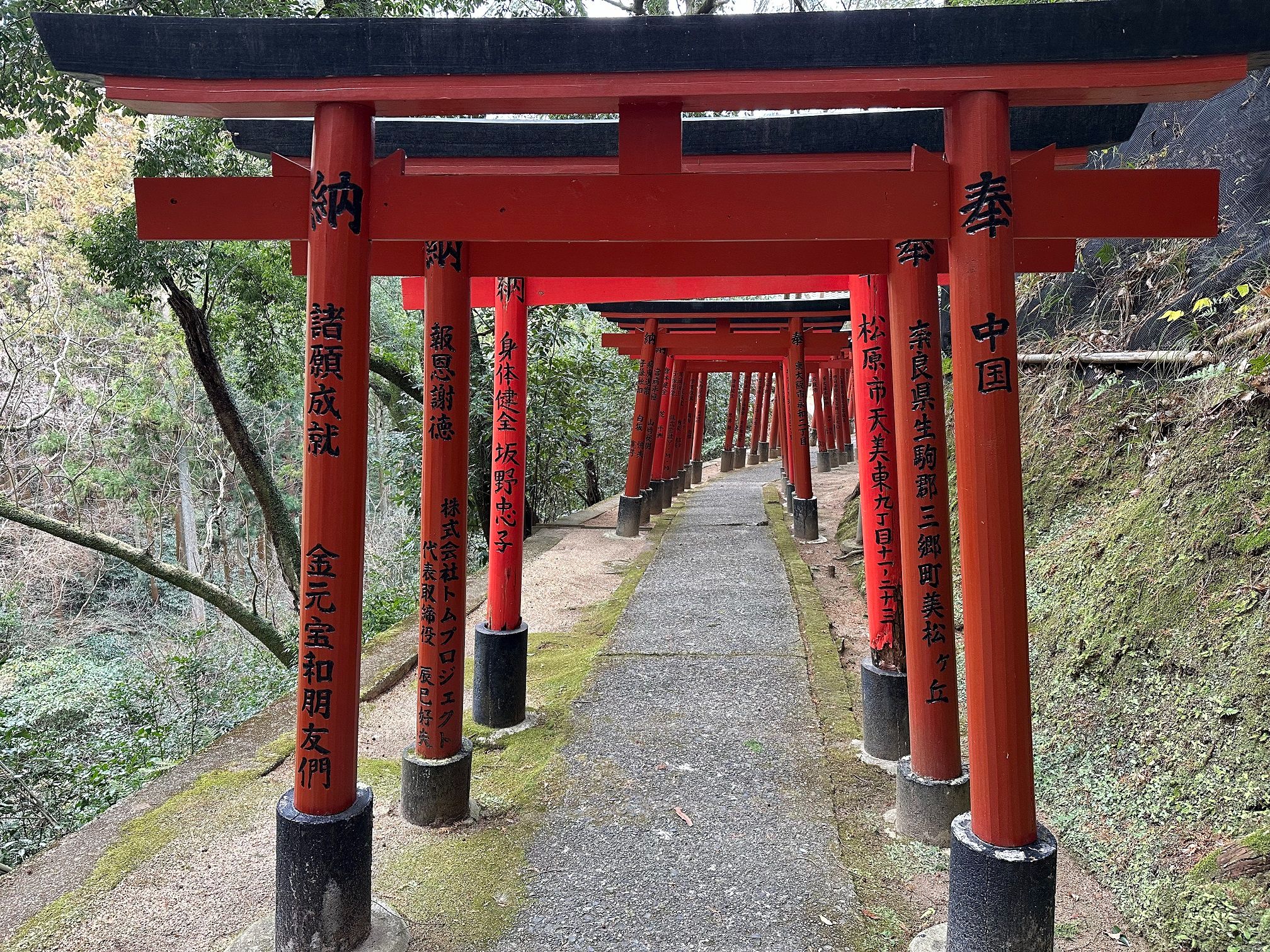 [东方圣地巡礼]卖太神社(稗田阿礼) 信贵山(星莲船) 法隆寺 狭冈神社(秋穰子)哔哩哔哩bilibili