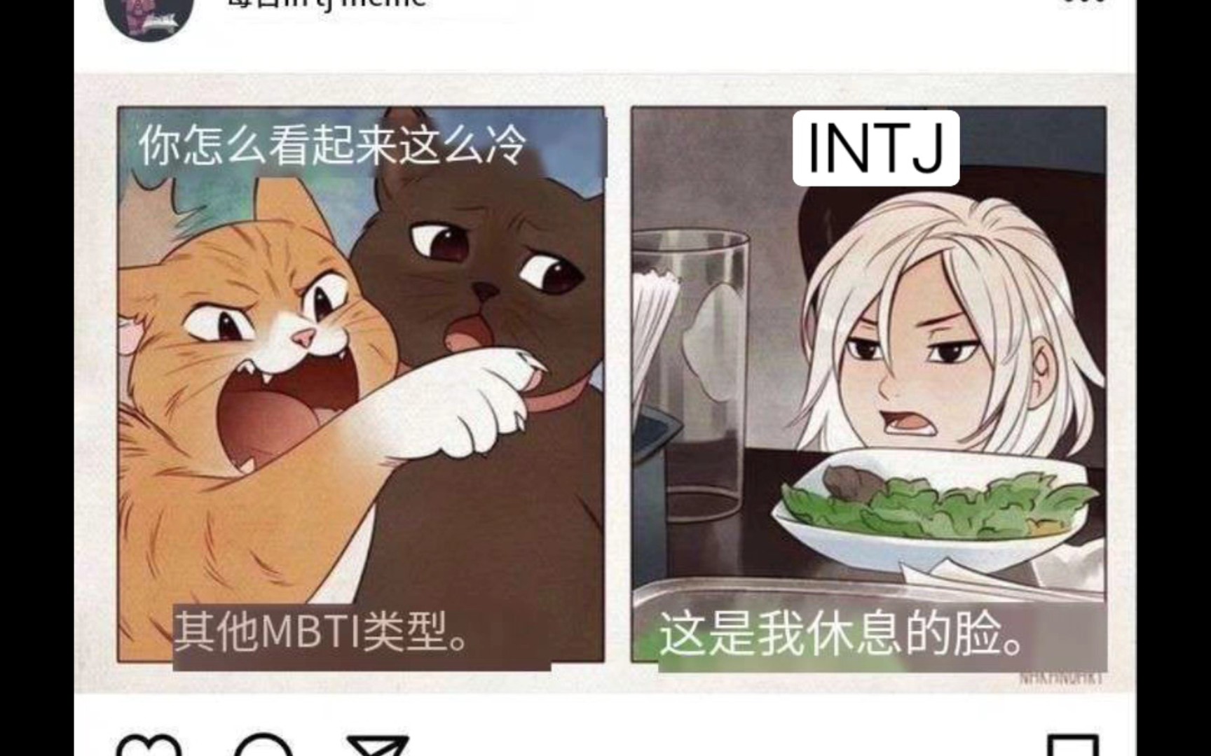 intj的一些meme梗图,笑死太真实了