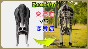 Descargar video: 畸形动物园：1：1还原动物变异前的样子，哪只动物变化最小？