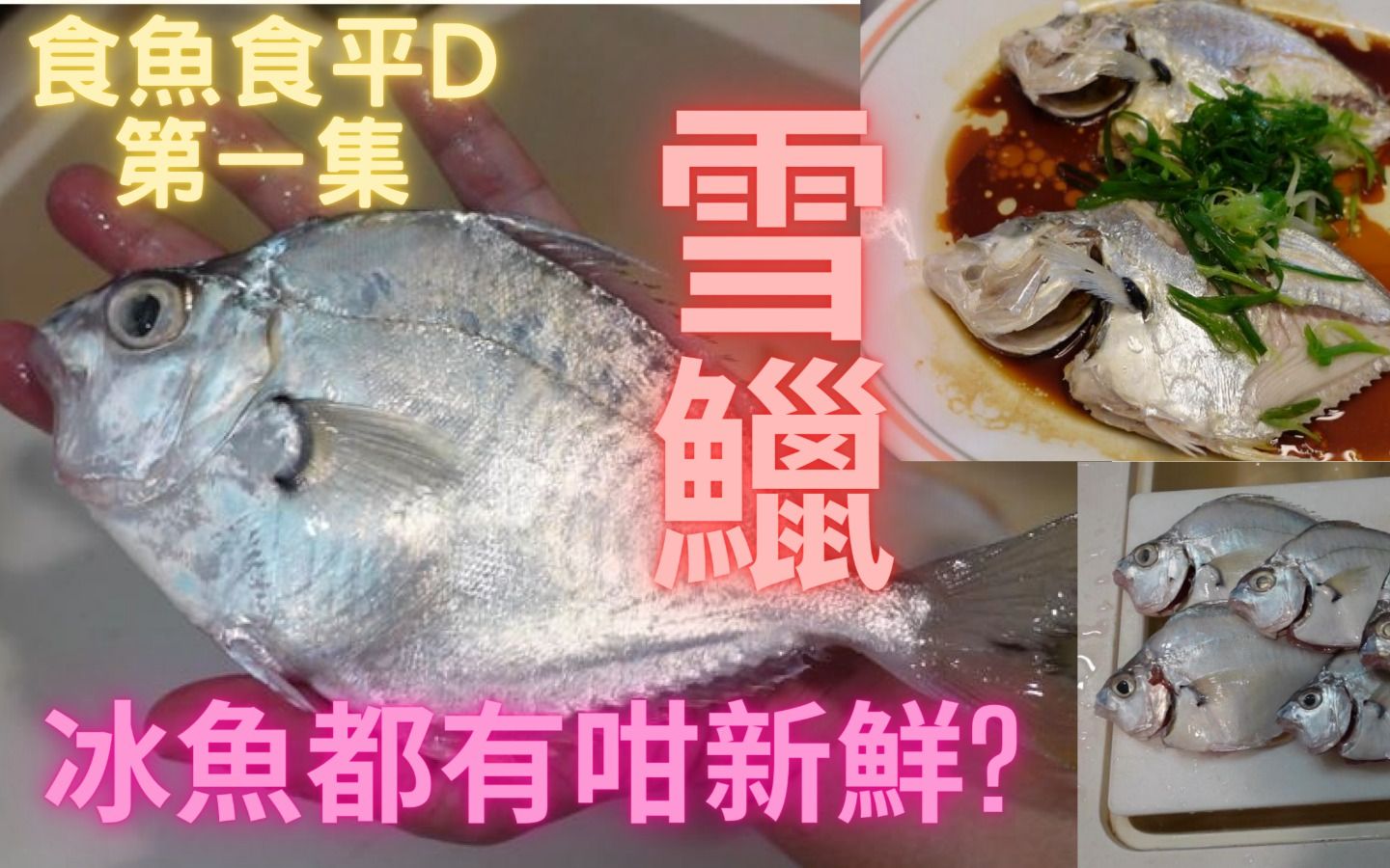 正常要面酱蒸至好食,今次靓到清蒸都好掂99食鱼食平d第1集,以后会