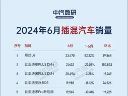 下载视频: 2024年6月插混汽车销量排行榜