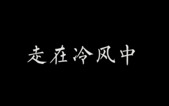 【粤语填词】走在冷风中【里子】【原创pv付】