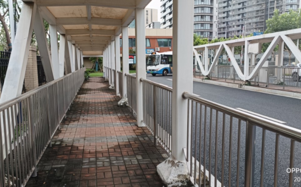 【上南二分61三林绕绕乐】84路 sxc6750gbev3 永泰路东明路》春眺路