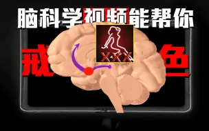 Tải video: 戒色本质是了解色情内容改造大脑神经,要避免焦虑强迫式行为【脑科学】