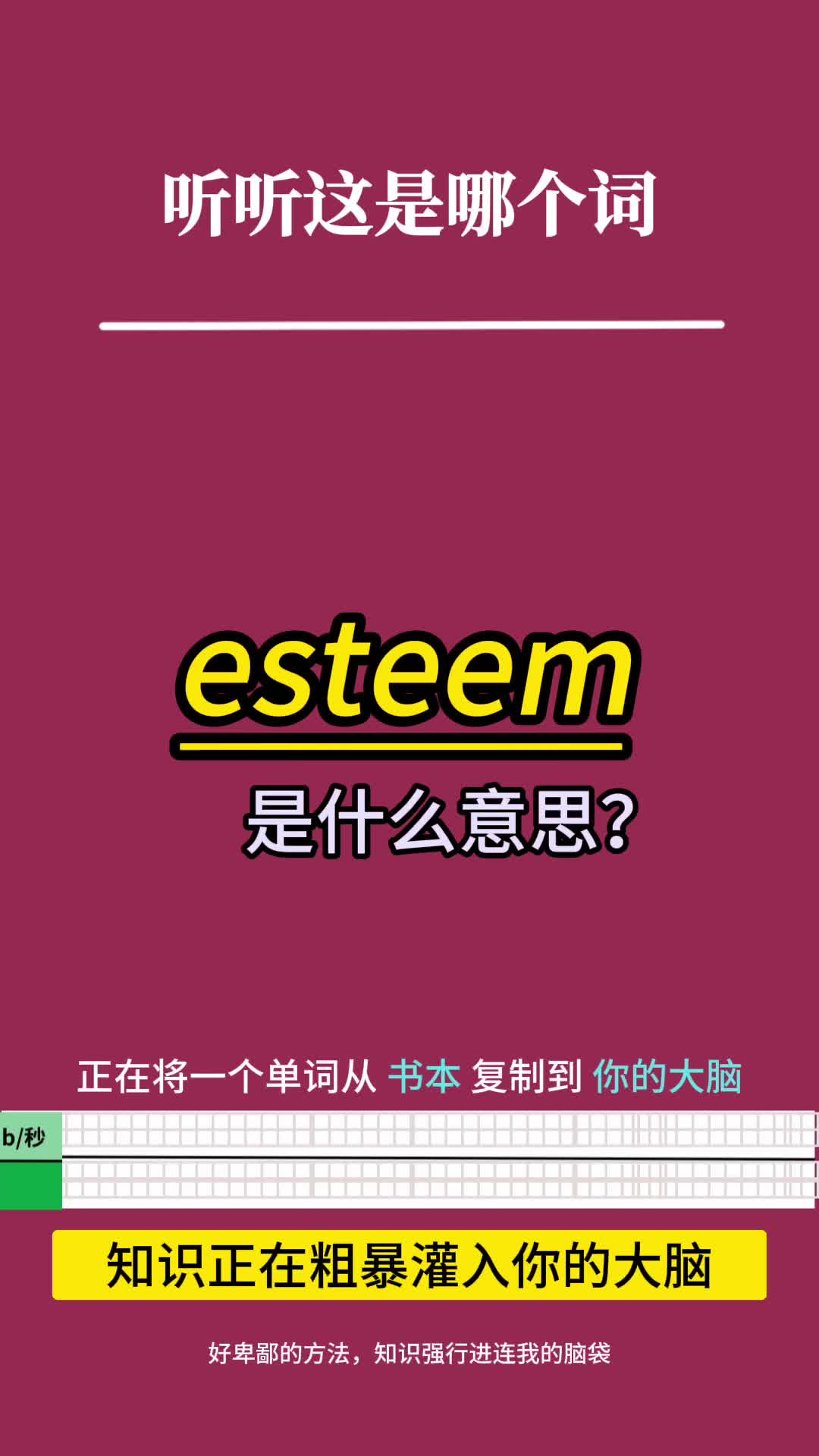 英语单词速记:esteem哔哩哔哩bilibili