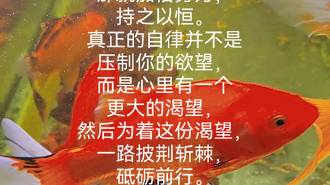 古语云 吾日三省吾身 很多时候 我们缺乏的 并不是经历 而是反思 如果我们能够从自己的经历中 不断地反思自己 那么 我们就能够很快获得 哔哩哔哩 Bilibili