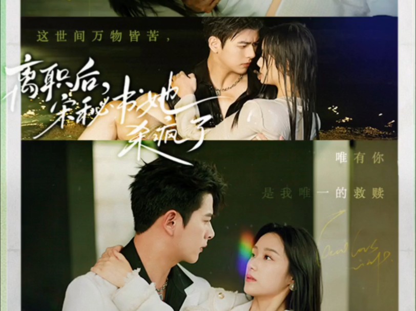 离职后宋秘书她杀疯了 #因为一个片段看了整部剧 #好剧推荐 #蜜糖短剧 #离职后宋秘书她杀疯了哔哩哔哩bilibili