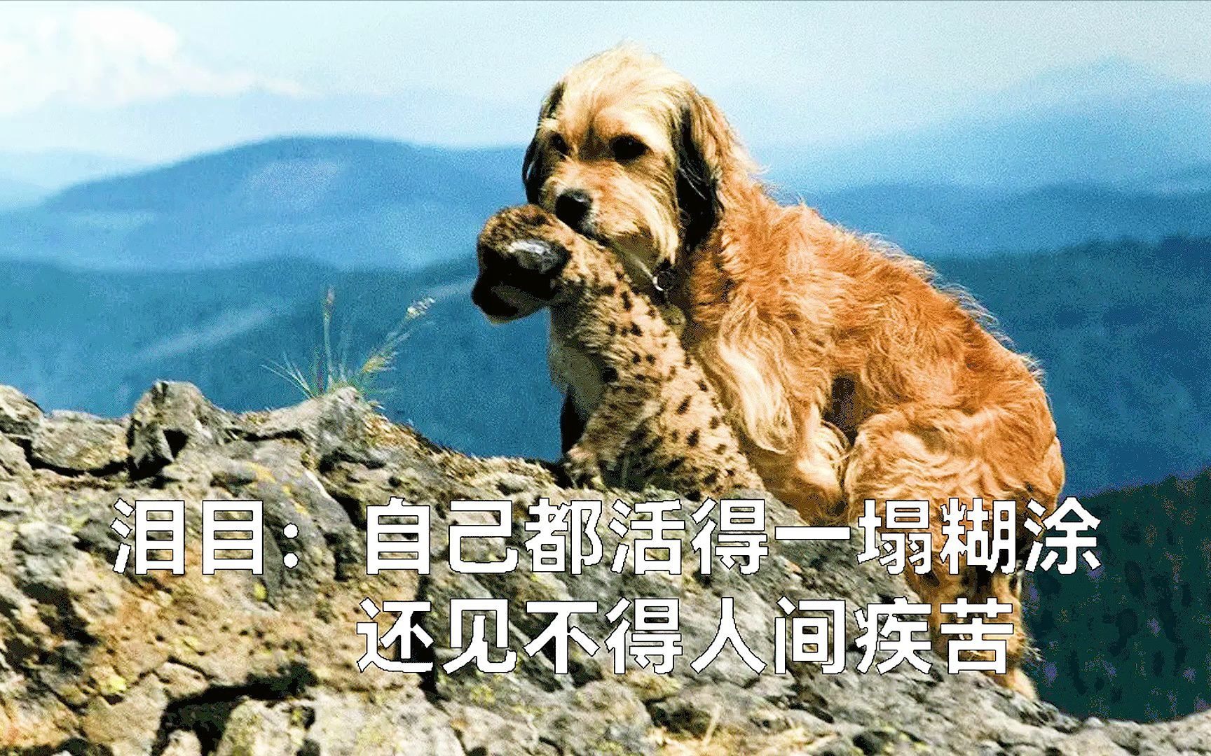 虽然活得一塌糊涂也见不得人间疾苦