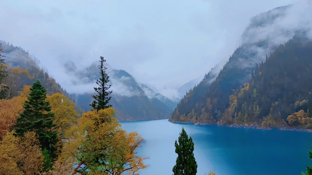 秋天的九寨沟山美水美,不枉费坐了八个小时的大巴车呀