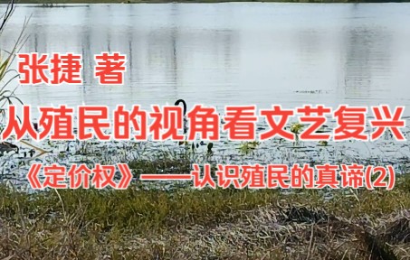 《定价权》(张捷 著):2. 认识殖民的真谛(2)——从殖民的视角看文艺复兴哔哩哔哩bilibili