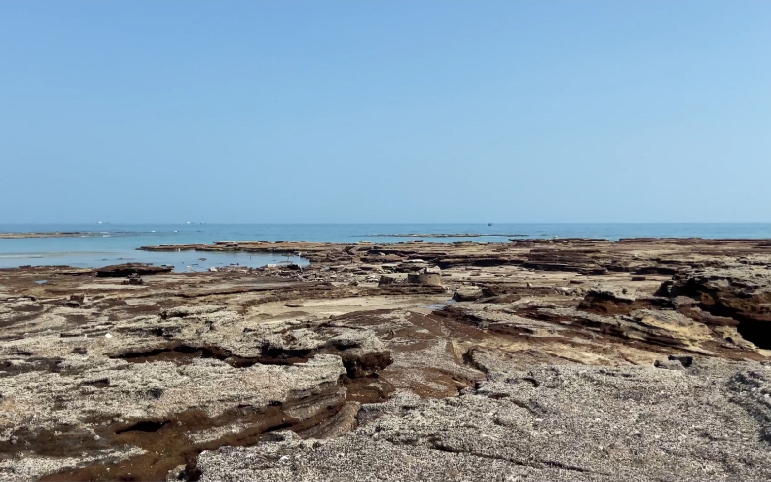 潿洲島趕海敲貝殼兒