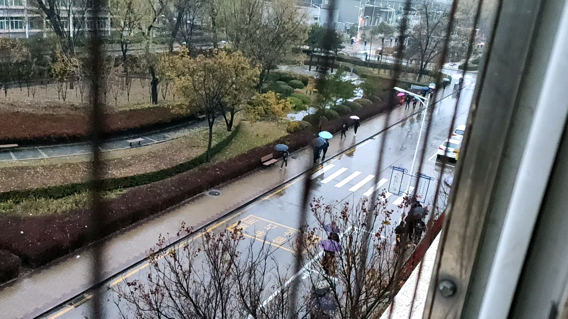 二零二零年十一月十八号早晨下雨宿舍窗边