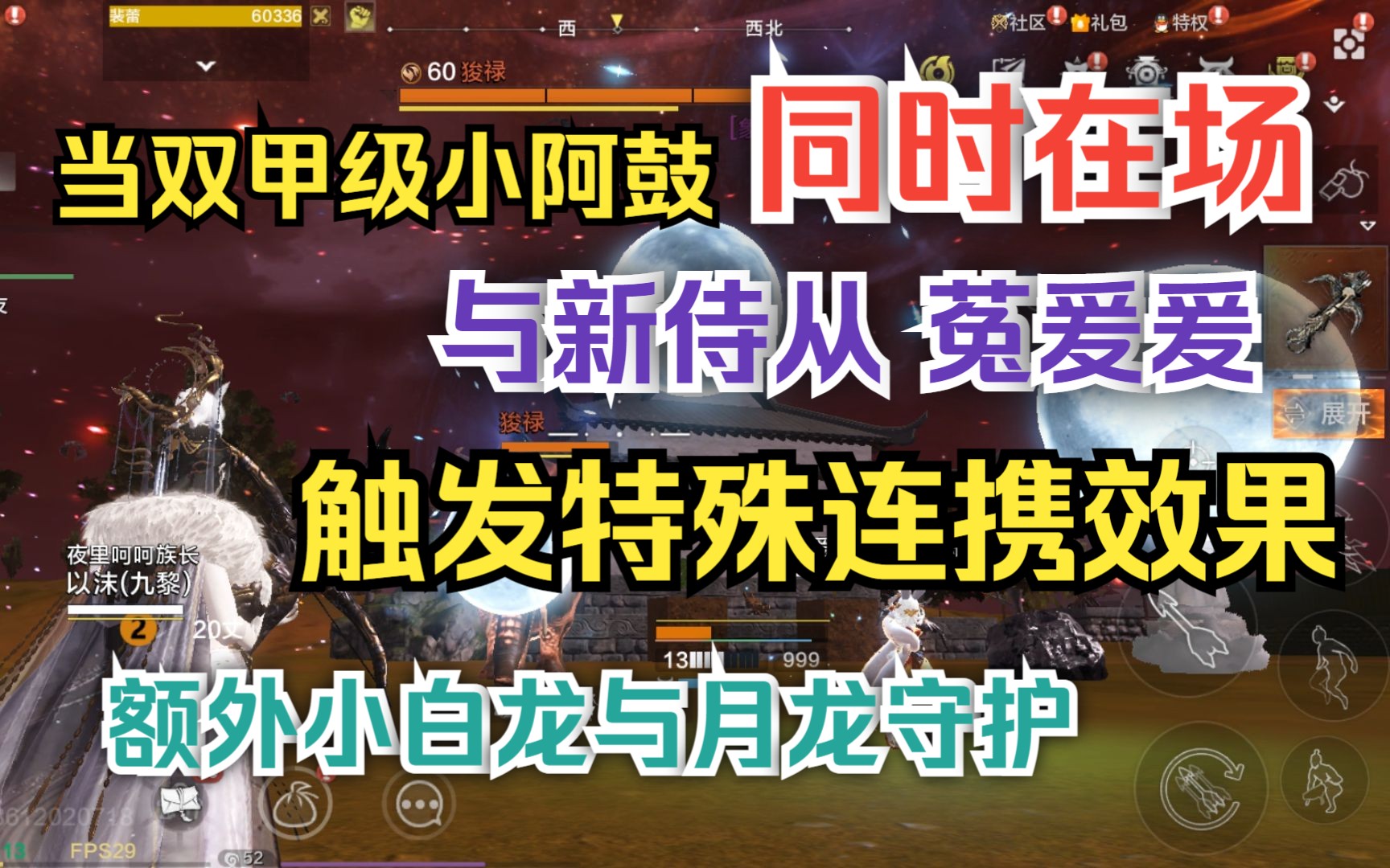 【妄想山海】当双甲级小阿鼓与菟爰爰同时在场 触发特殊连携效果手机游戏热门视频