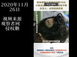 Download Video: 【热点事件后续追踪】女钢琴教师辞职被打断手指，后续来了