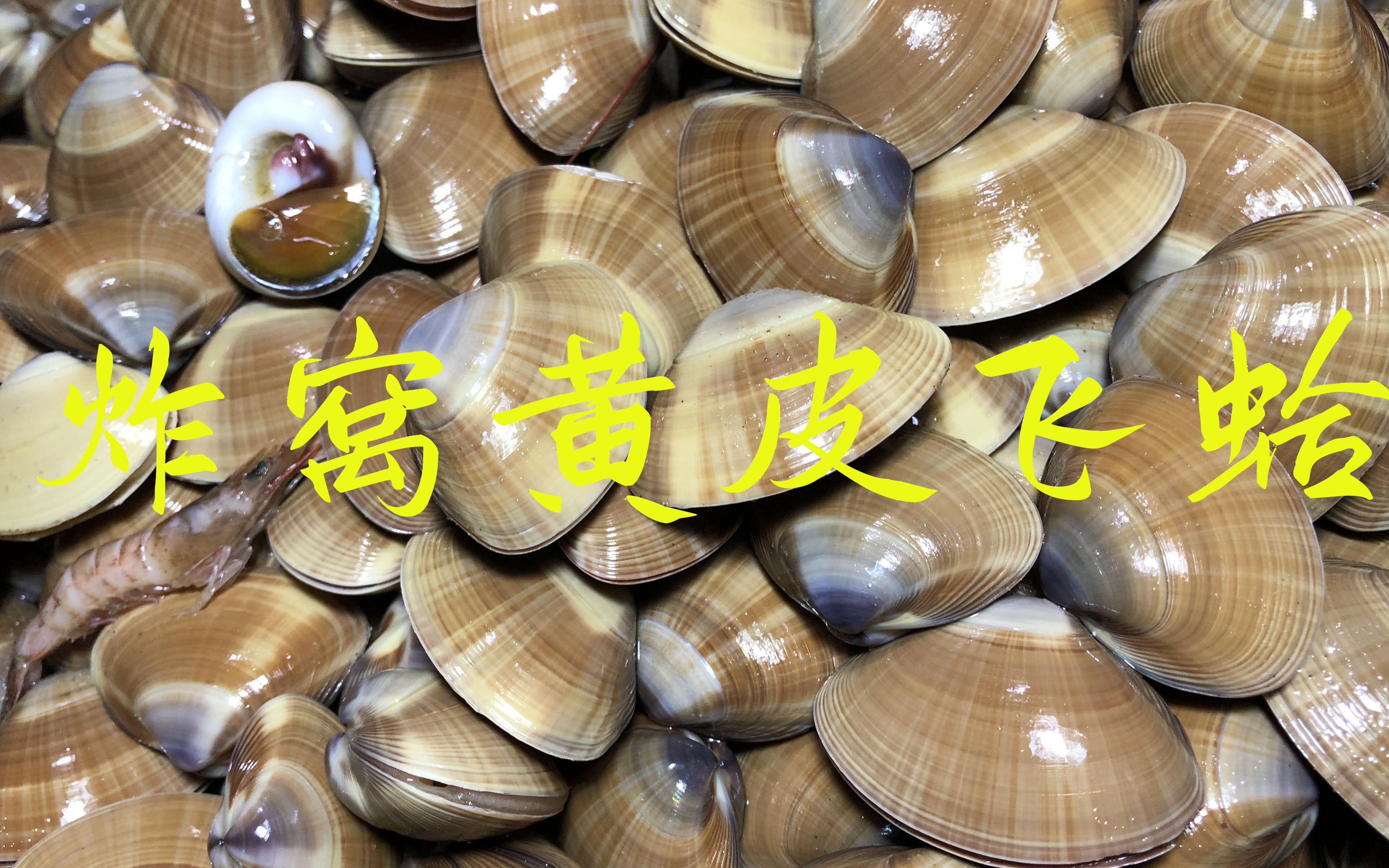 带大家了解一下二哥独门绝技炸窝黄皮飞蛤蜊抓多少你们说了算