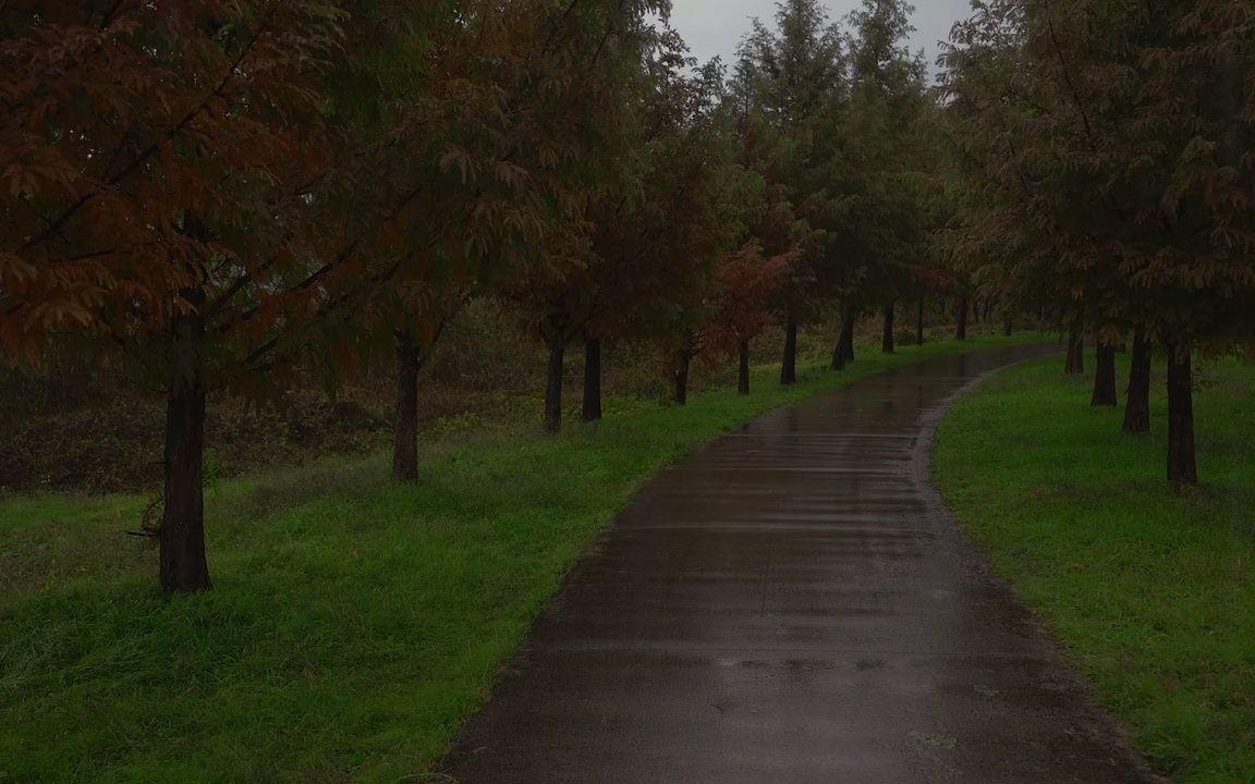 15分钟超温柔雨声催眠曲深度睡眠,减压放松,睡前听,超级治愈哔哩哔哩bilibili