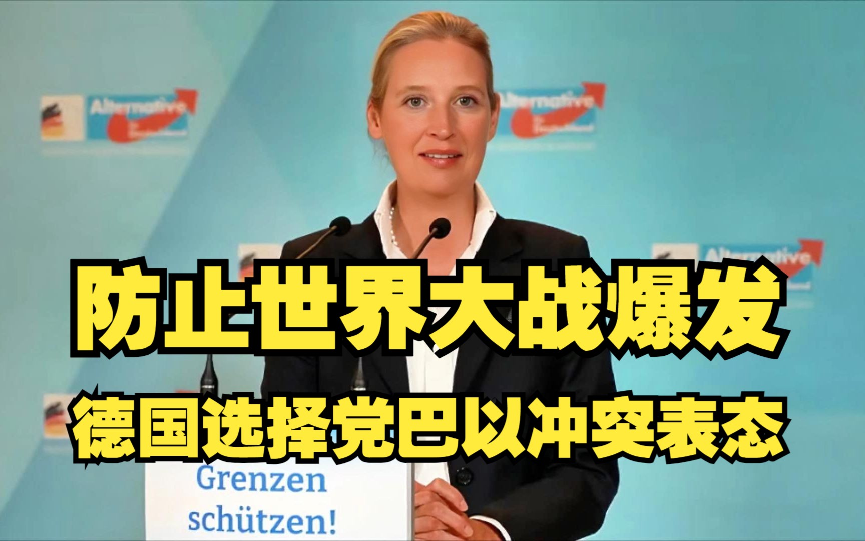 德国选择党针对巴以冲突表态:缓和局势 防止世界大战爆发 爱丽丝魏